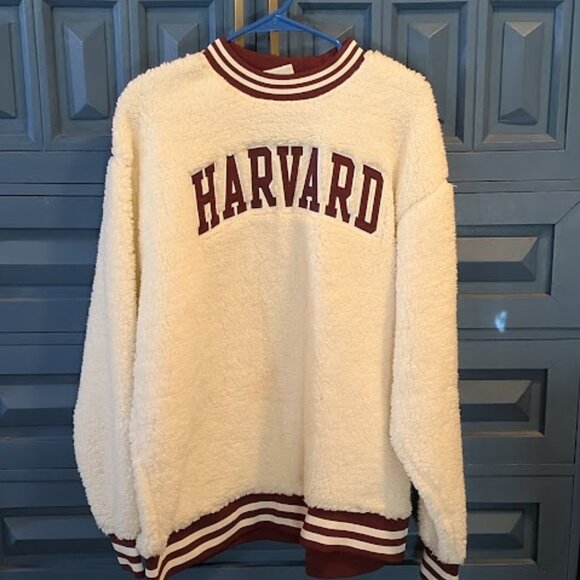 J29 CHAMPION Authentic Wear - Harvard Sherpa Sweater - Picture 1 of 6